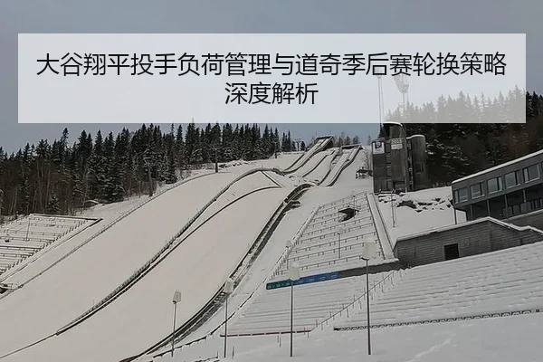 da-gu-xiang-ping-tou-shou-fu-he-guan-li-yu-dao-qi-ji-hou-sai-lun-huan-ce-lve-shen-du-jie-xi-2-259.jpg