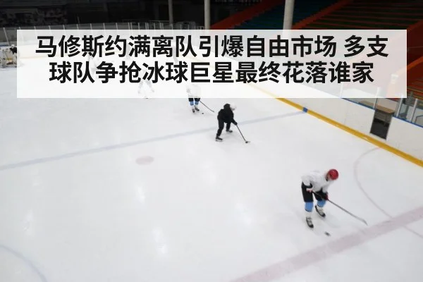 ice hockey rink